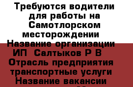 Требуются водители для работы на Самотлорском месторождении › Название организации ­ ИП “Салтыков Р.В.“ › Отрасль предприятия ­ транспортные услуги › Название вакансии ­ водитель › Место работы ­ Самотлорское месторождение › Минимальный оклад ­ 25 000 › Максимальный оклад ­ 45 000 - Ханты-Мансийский, Нижневартовск г. Работа » Вакансии   